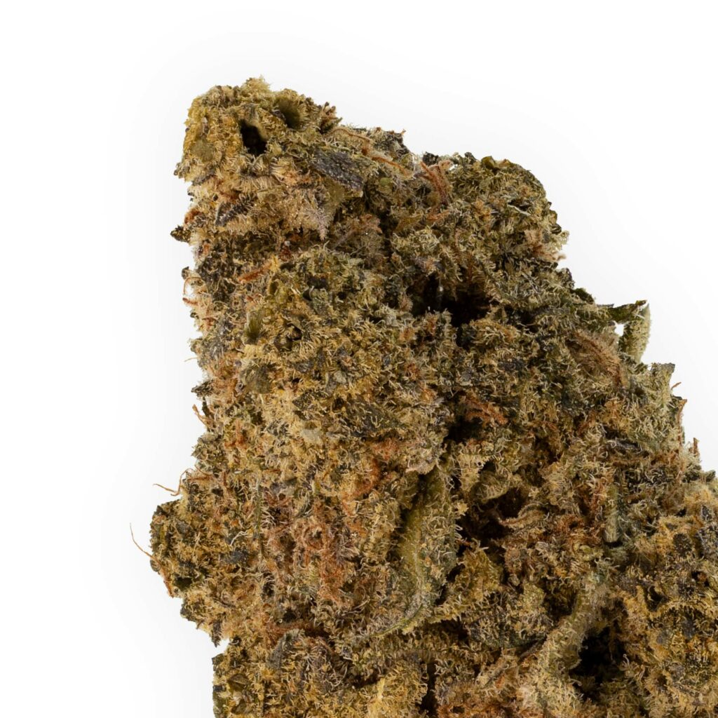 mac-12-10-23-closeup