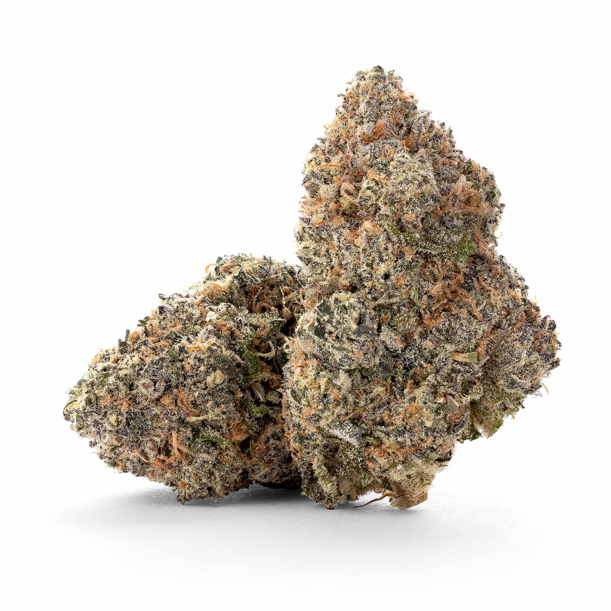 mint-kush-08-22-25-buds-1