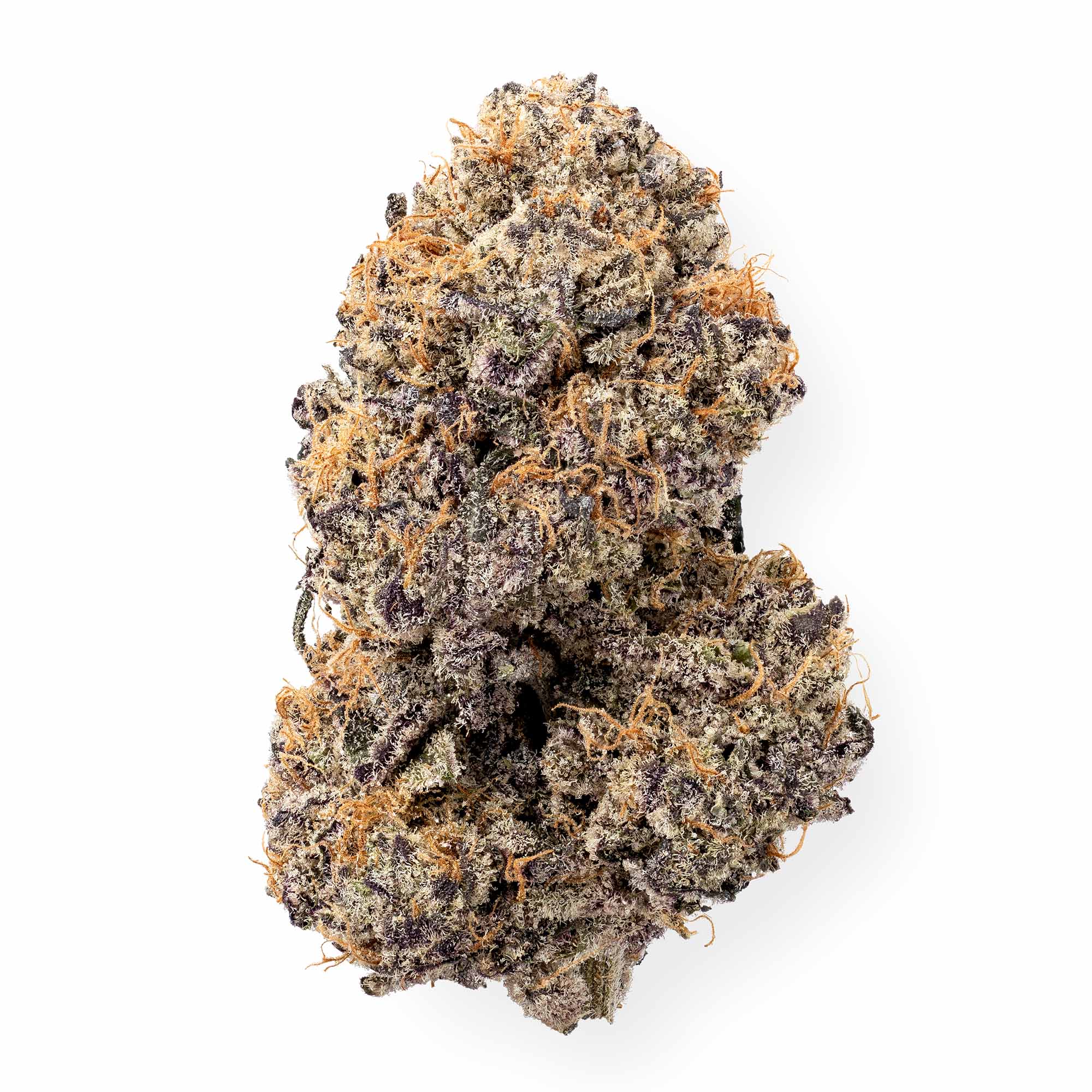 tropic-thunder-01-08-26-bud-1