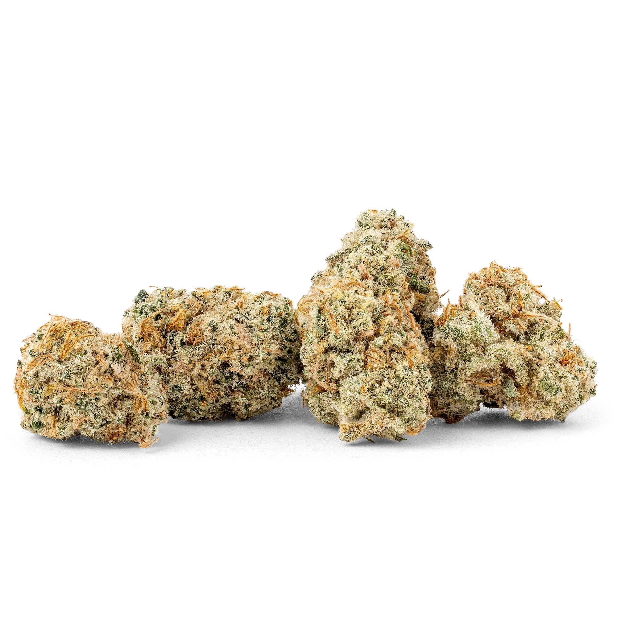 donut-smalls-02-24-26-buds