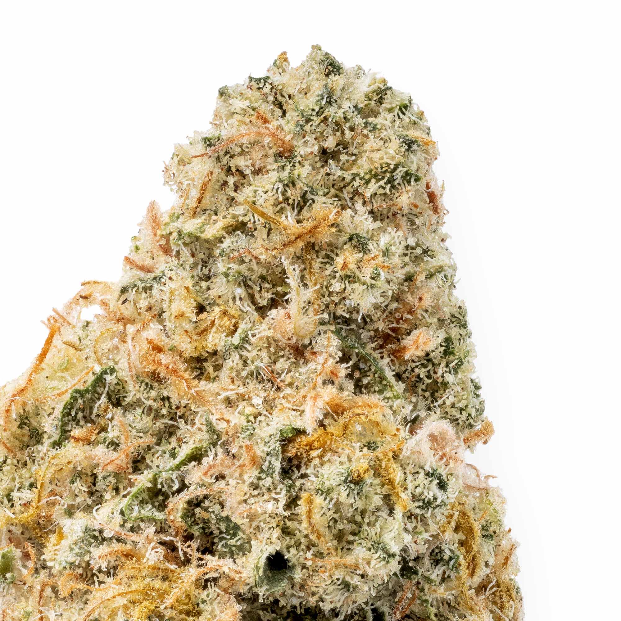 donut-smalls-02-24-26-closeup