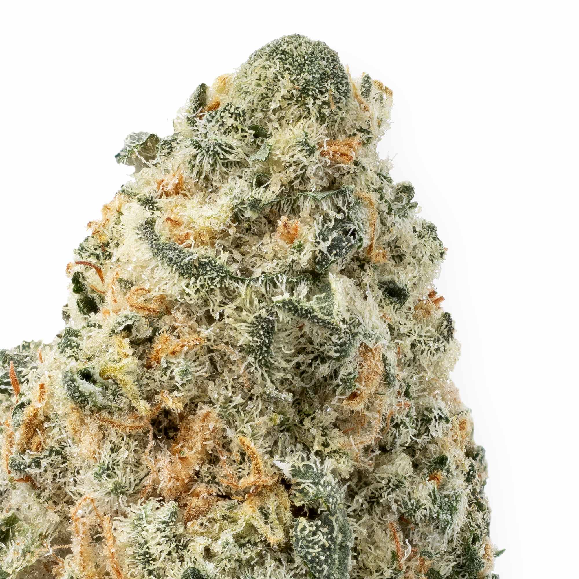 mo-meat-smalls-02-24-26-closeup