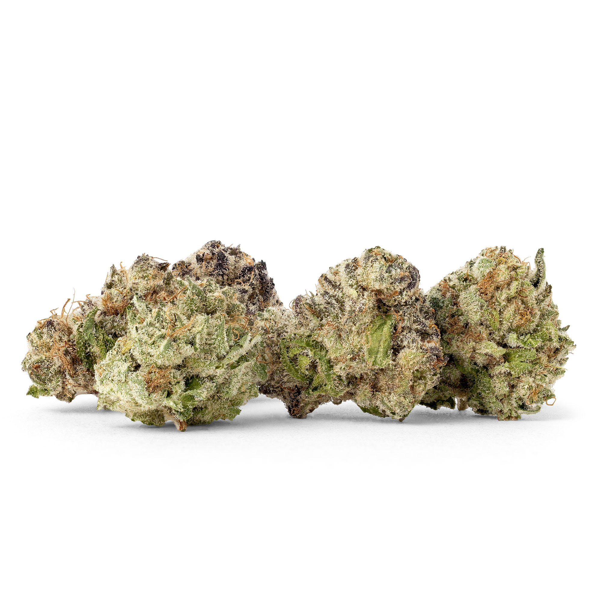 tropicanna-smalls-04-02-26-buds