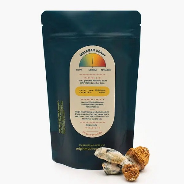 origin-mushrooms-malabar-coast-main