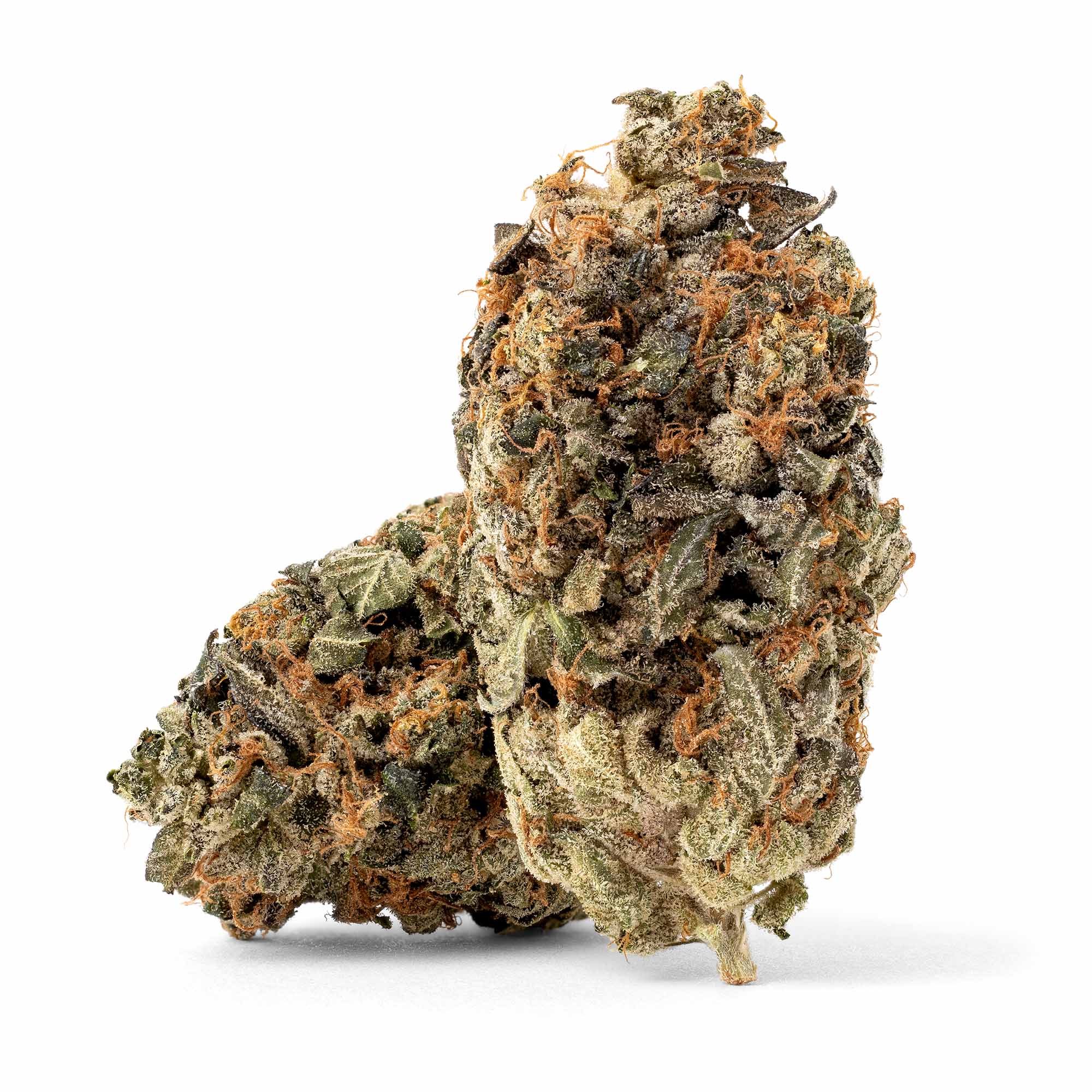 island-pink-07-06-26-buds